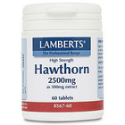 Lamberts Hawthorn 2500 mg 60 tab