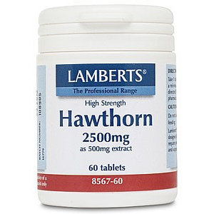 Lamberts Hawthorn (Meidoorn) 60 tabletten