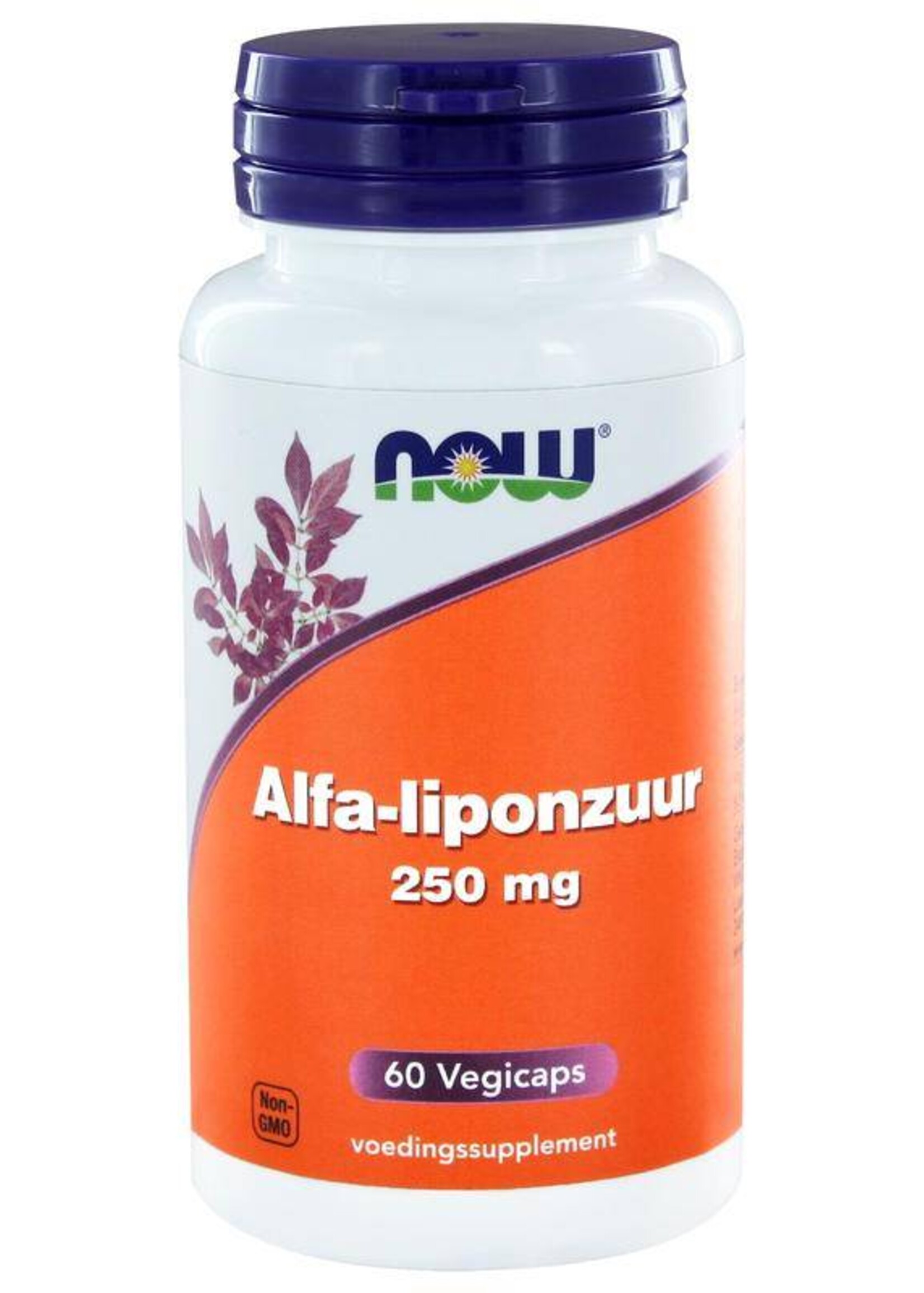 NOW Alfa-Liponzuur 250 mg 60 capsules