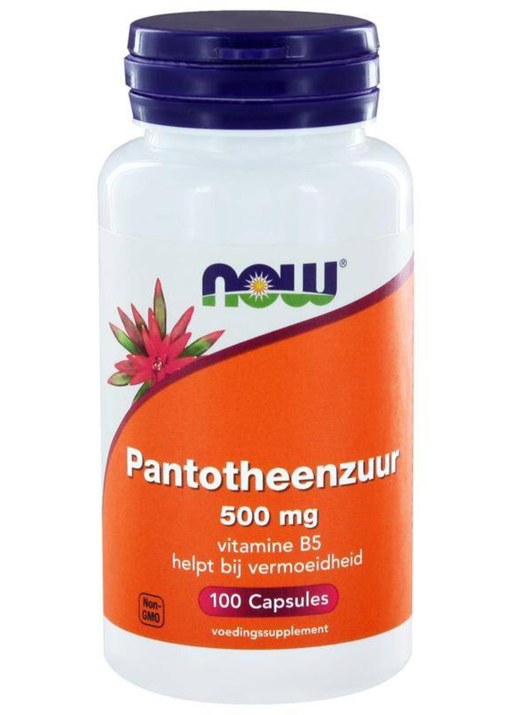 NOW Pantotheenzuur / Pantothenic acid 500 mg 100 capsules