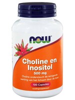 NOW Choline en Inositol 500 mg 100 cap