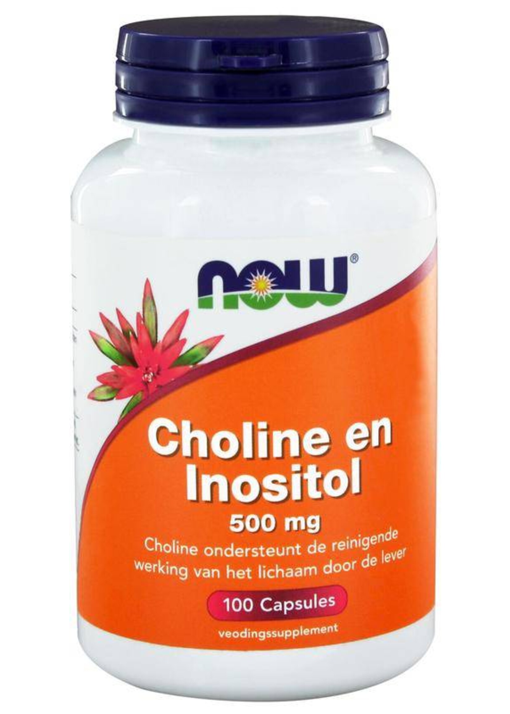 NOW Choline en Inositol 500 mg 100 capsules