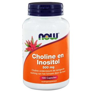 NOW Choline en Inositol 500 mg 100 capsules