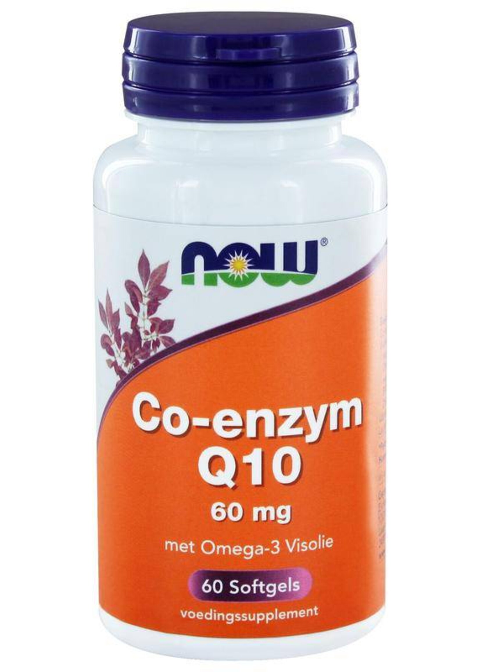 NOW Co-enzym Q10 60 mg met Omega-3 60 softgels