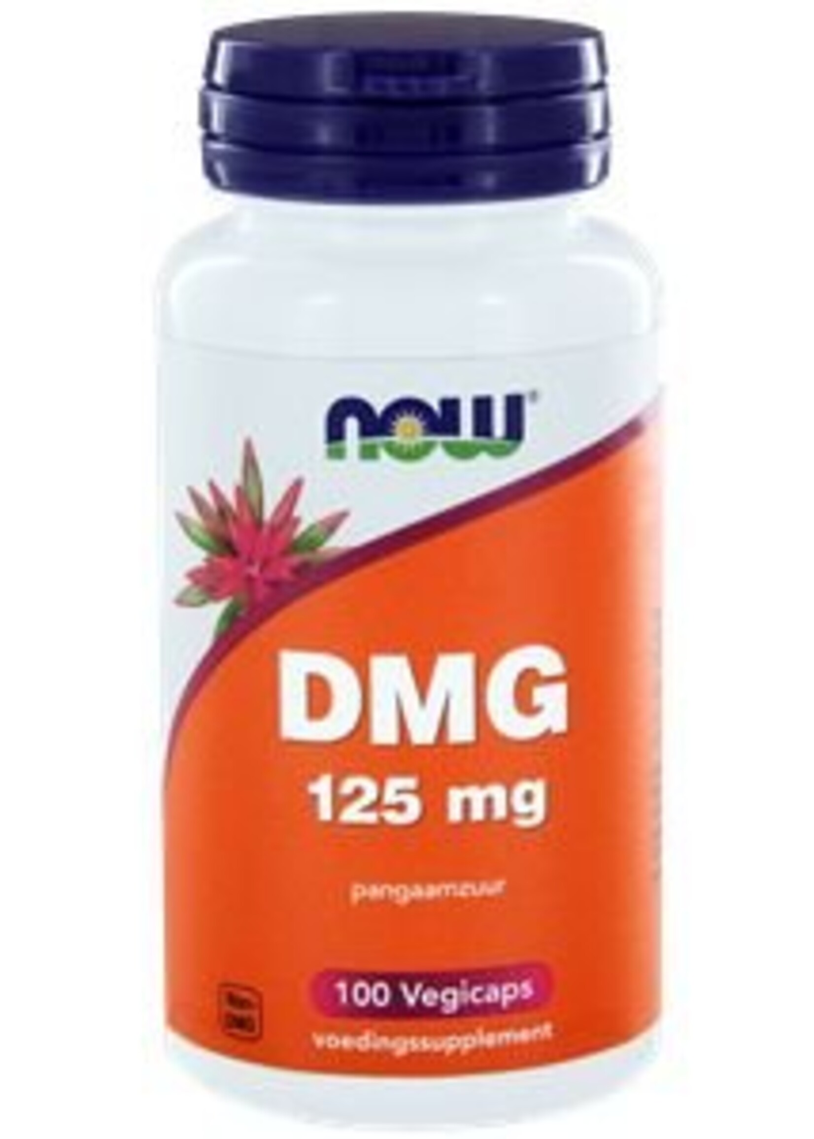 NOW DMG Pangaamzuur 125 mg 100 capsules