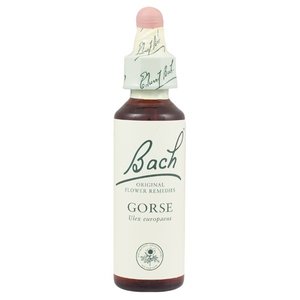 Bach Gorse / Gaspeldoorn 20 ml