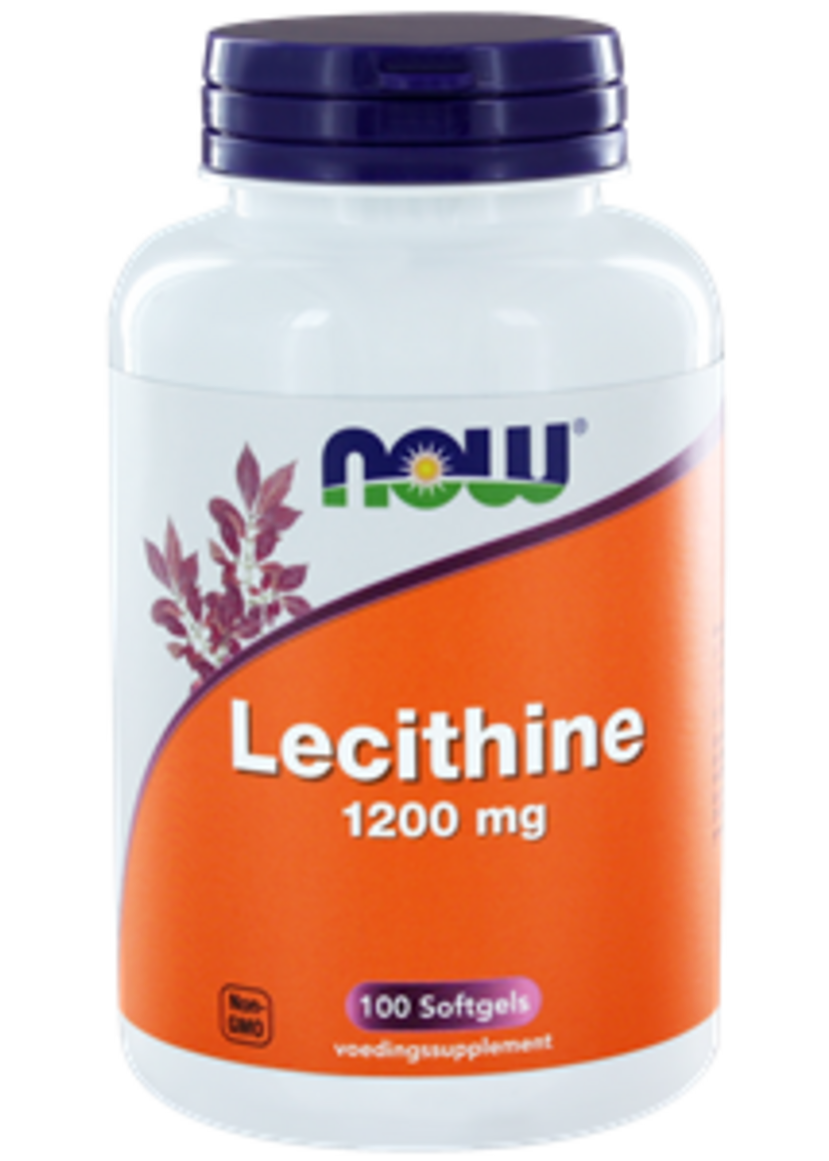 NOW Lecithine 1200 mg 100 softgels