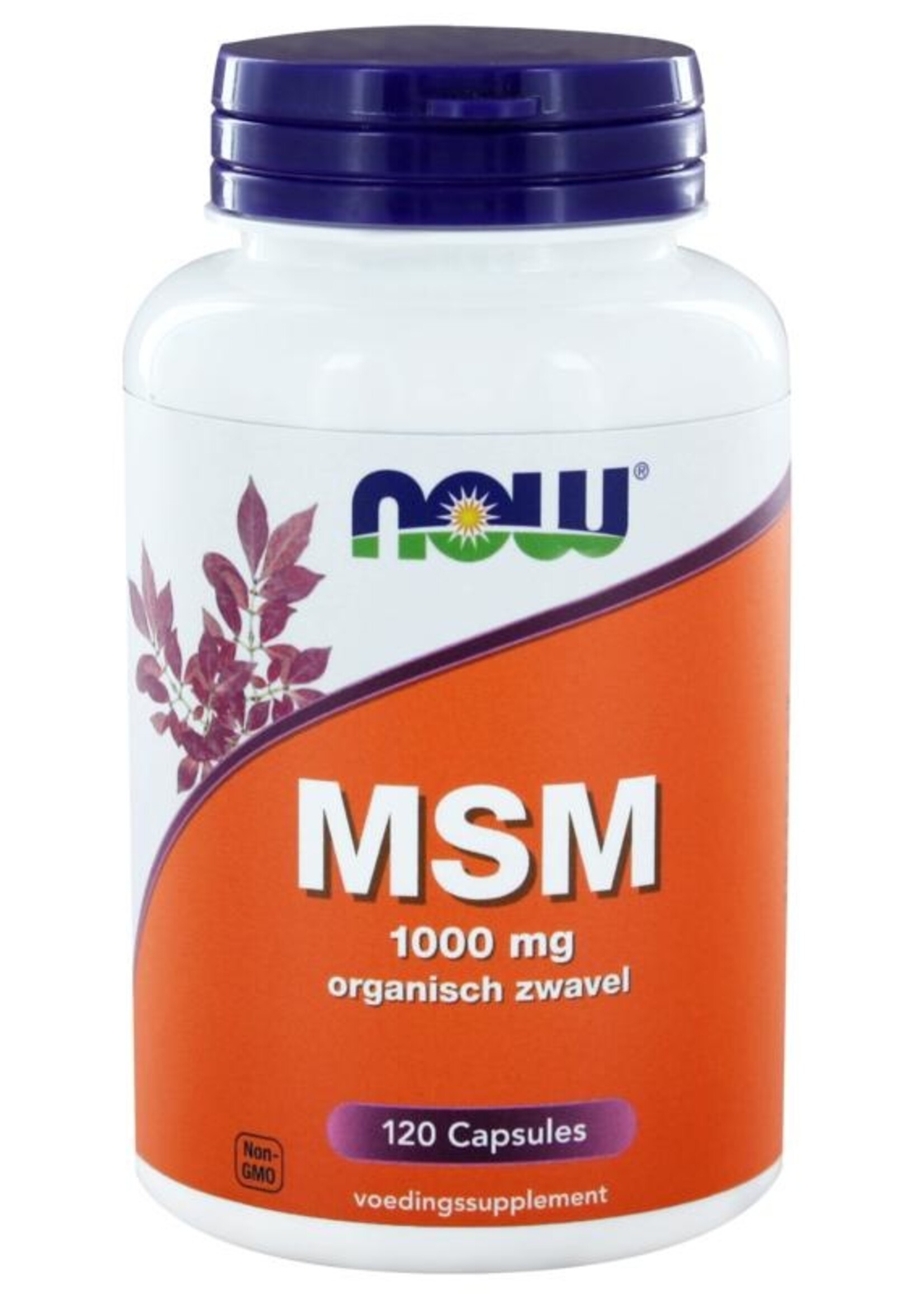 NOW MSM 1000 mg 120 capsules