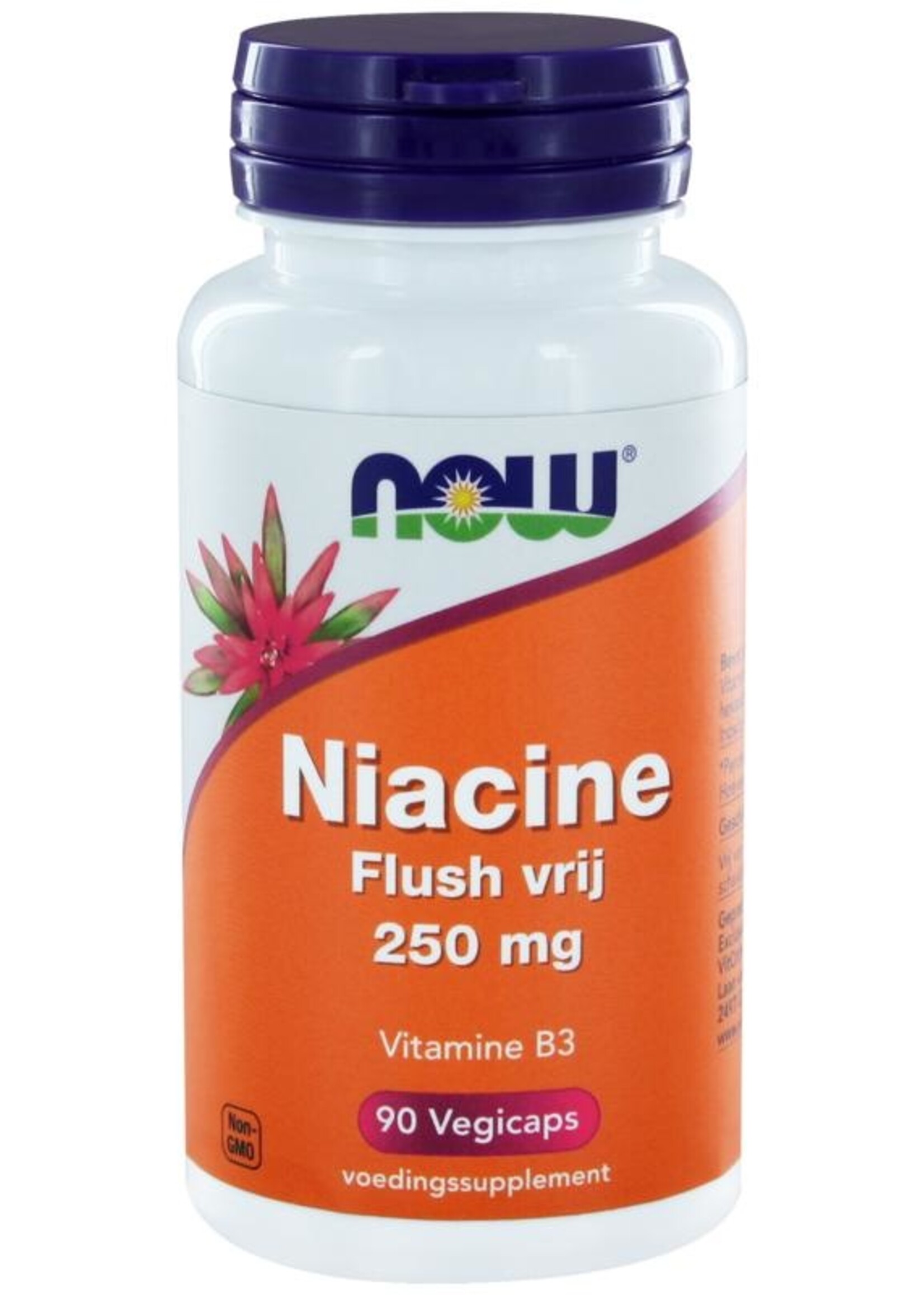 NOW Niacine flush free 250 mg 90 capsules
