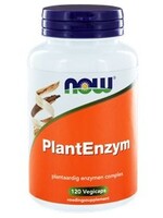 NOW Plantenzym 120 v-caps