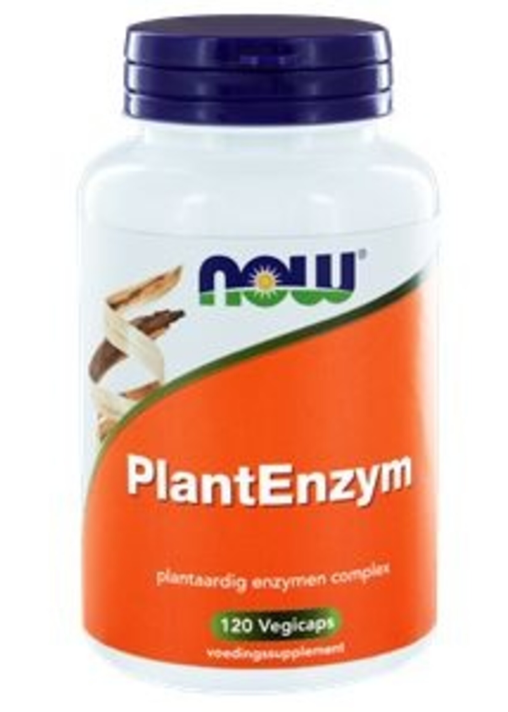 NOW Plantenzym 120 v-caps