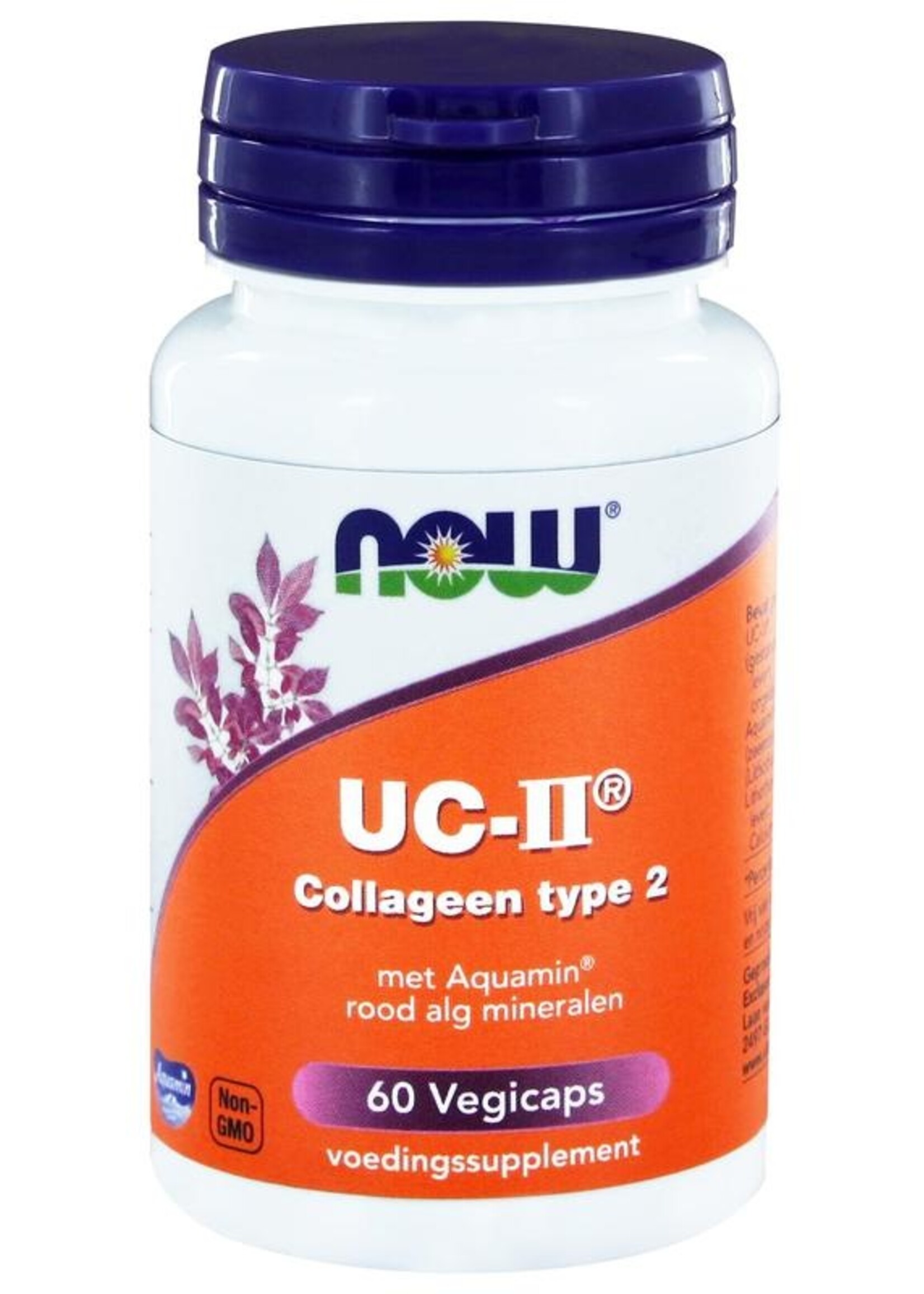 NOW UC-II Collageen type 2 60 v-caps
