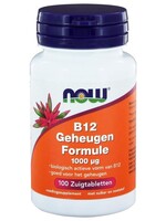 NOW Vitamine B12 1000 mcg methylcobalamine 100 zt