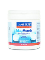 Lamberts MagAsorb 180 tab