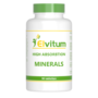 Elvitum High Absorbtion Minerals 90 tab