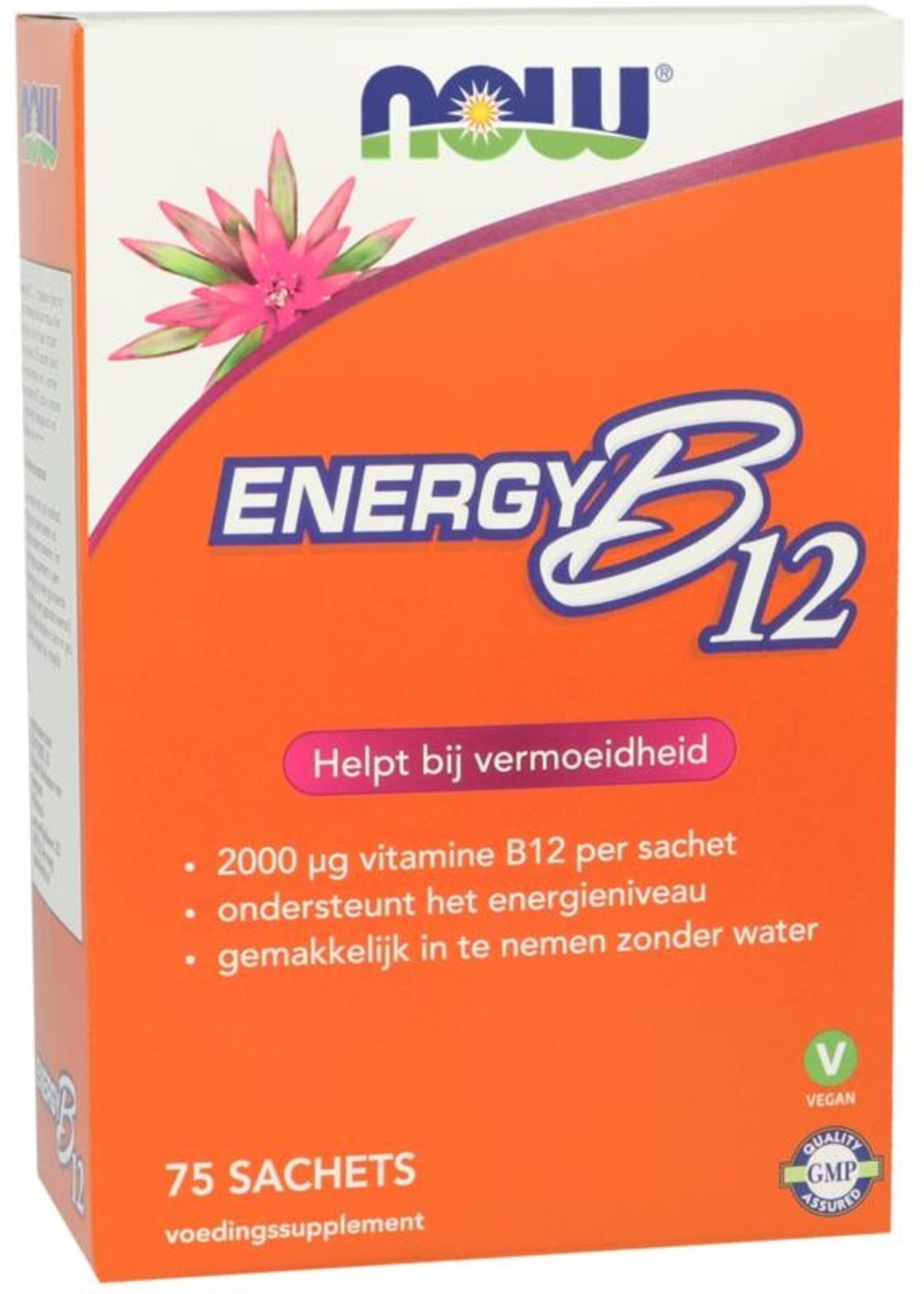 NOW Instant Energy B12 75 sachets