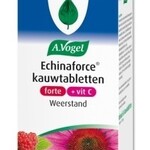 Echinacea