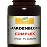 Paardenbloem