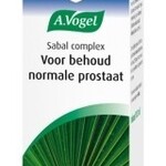 Zaagbladpalm / Sabal