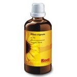 Zwarte Bes / Ribes Nigrum