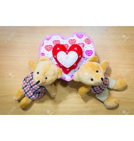 Liefde Teddy Bear Couple