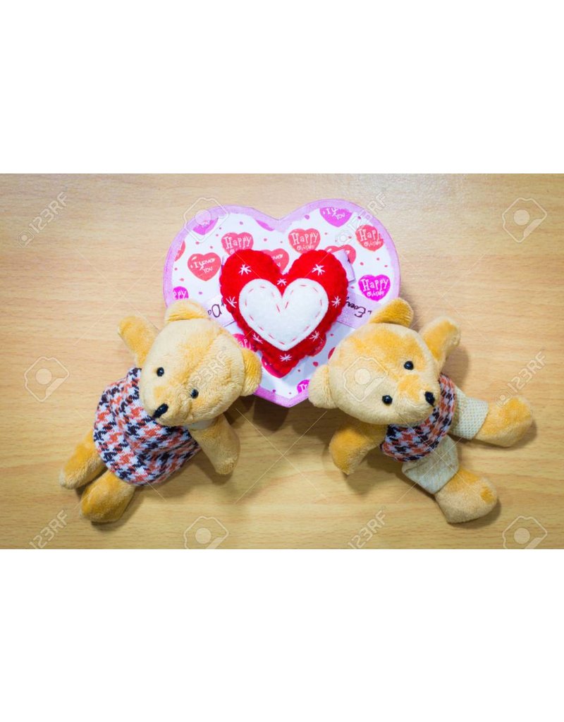 Liefde Teddy Bear Couple