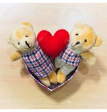 Liefde Teddy Bear Couple