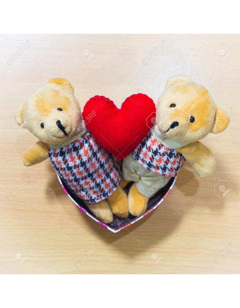 Liefde Teddy Bear Couple