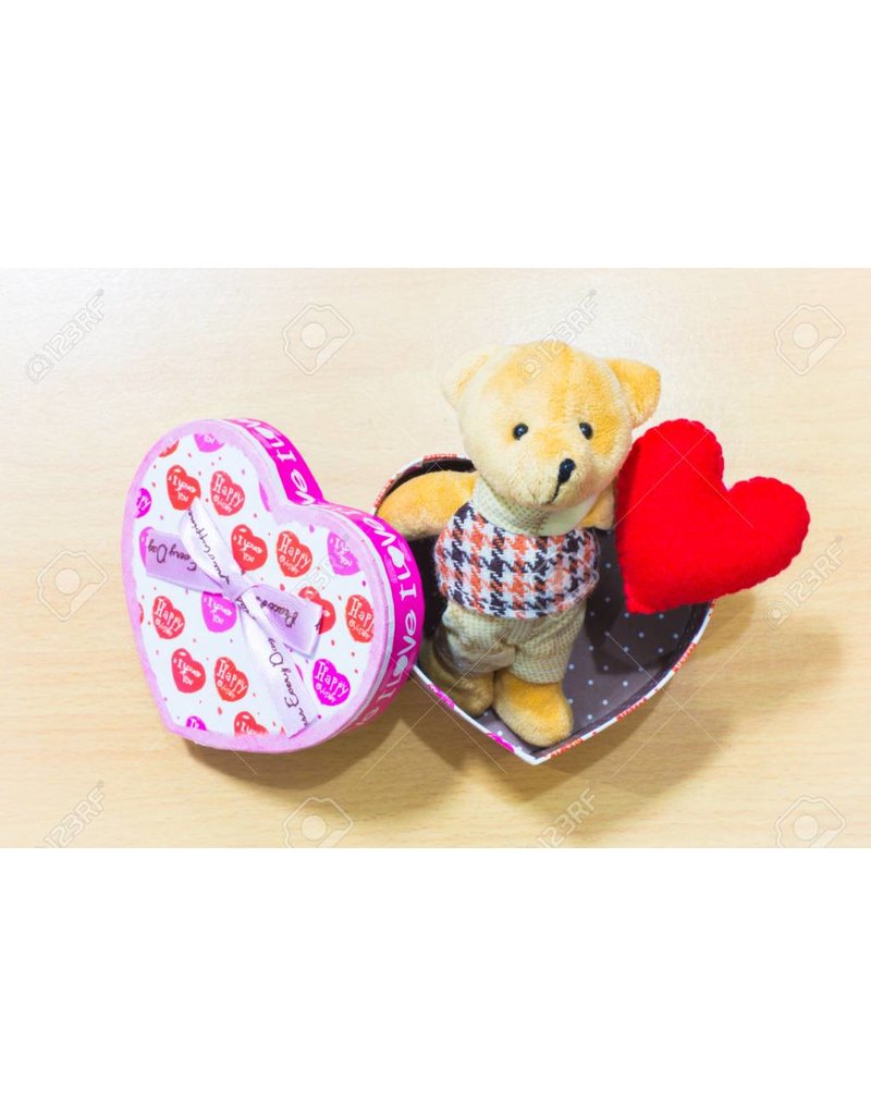 Liefde Teddy Bear Couple
