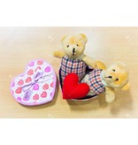 Liefde Teddy Bear Couple