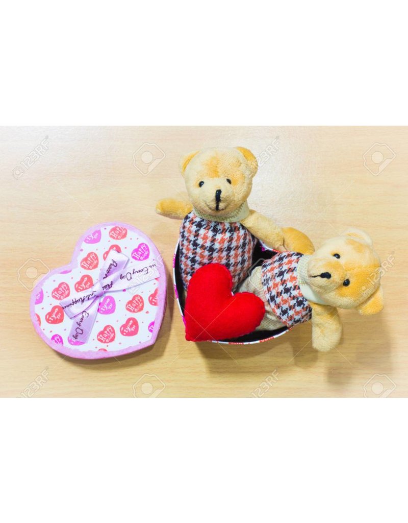 Liefde Teddy Bear Couple