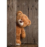 Leuke Teddybeer