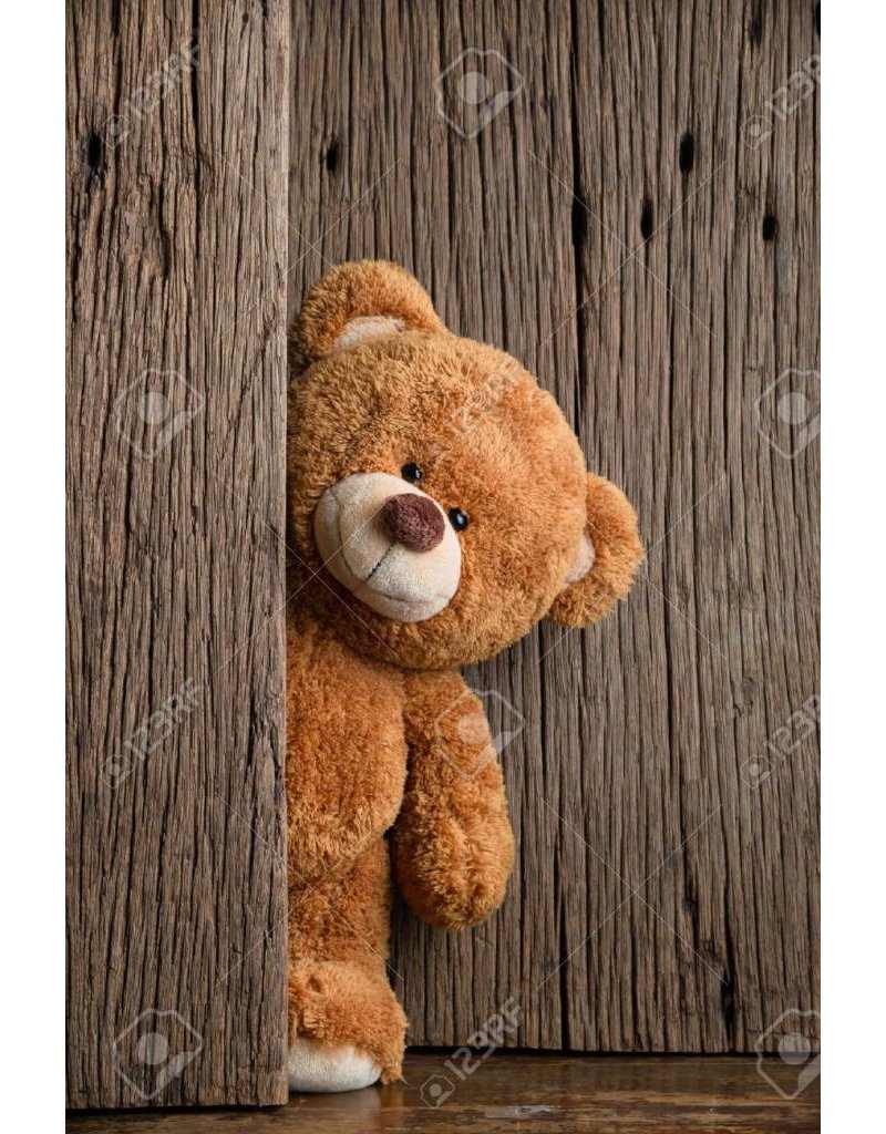 Leuke Teddybeer