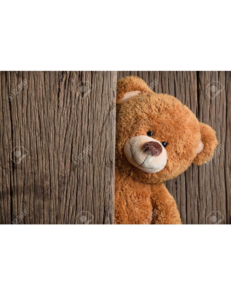 Cute Teddy Bear