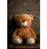 Cute Teddy Bear