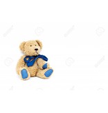 Fluffy Brown Blue Bear