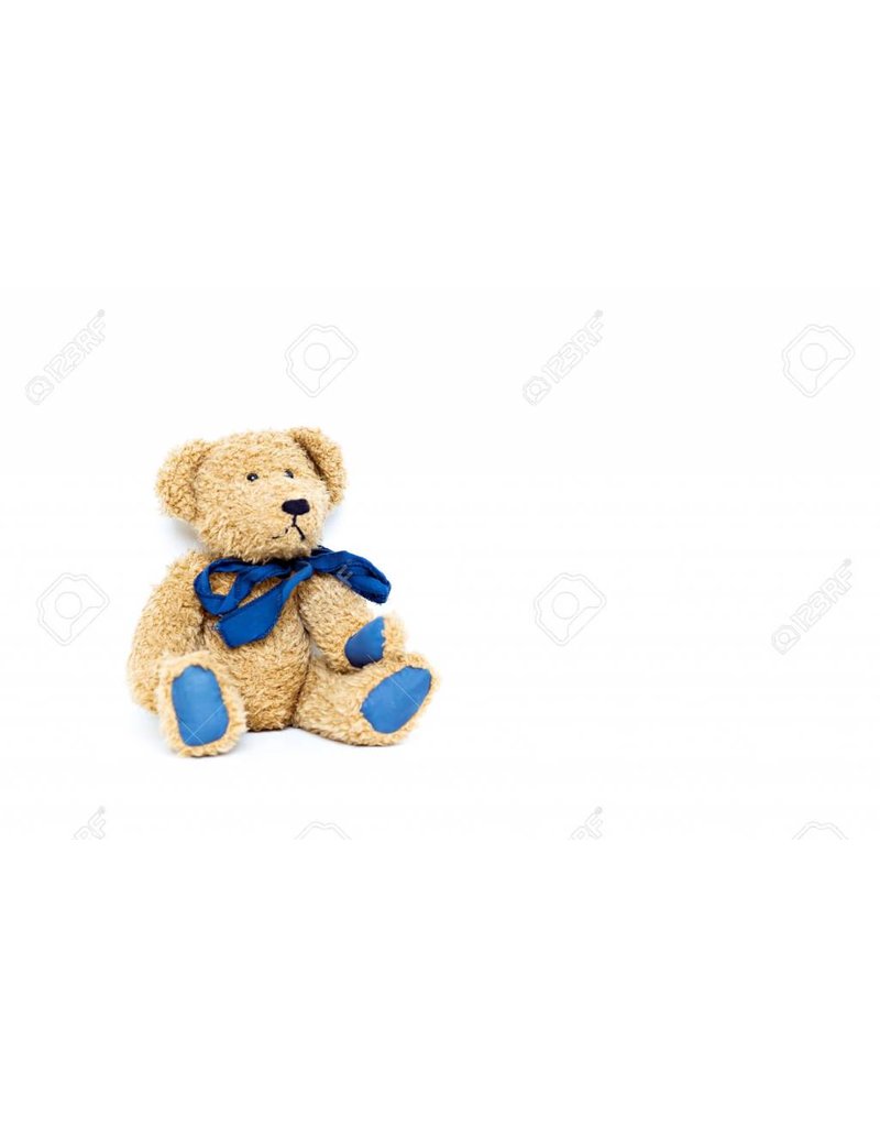 Fluffy Brown Blue Bear