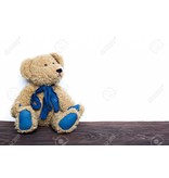 Fluffy Brown Blue Bear