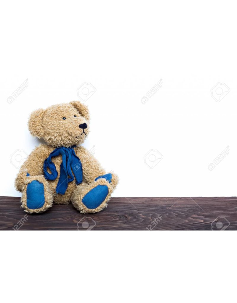 Fluffy Brown Blue Bear