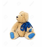 Fluffy Brown Blue Bear