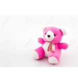 Pink Teddy Bear