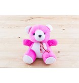 Roze Teddybeer