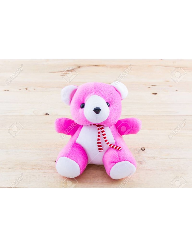 Pink Teddy Bear