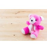 Pink Teddy Bear