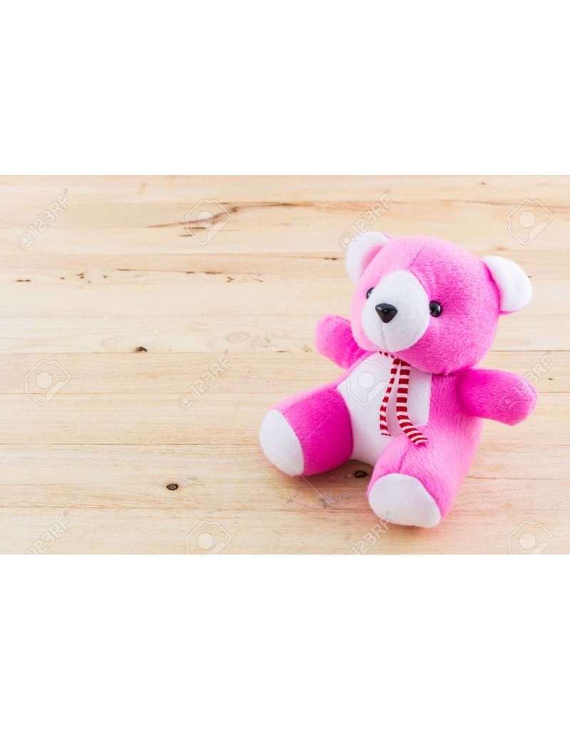 Pink Teddy Bear