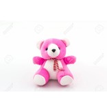 Pink Teddy Bear