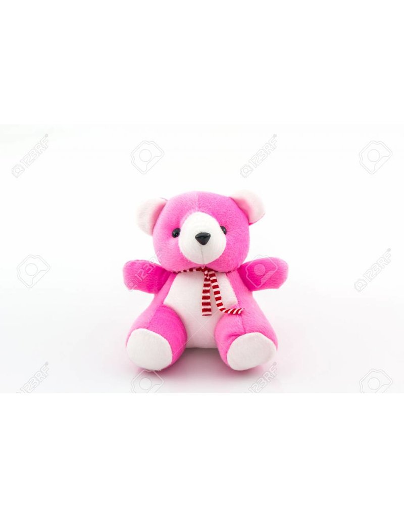 Pink Teddy Bear