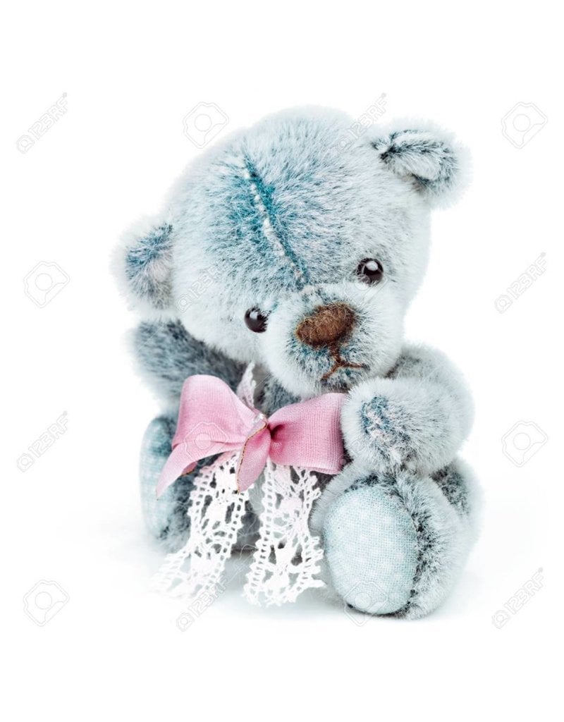 Cute Blue Bear