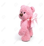 Pinky Cute Baer