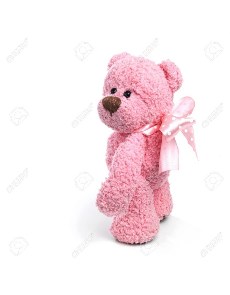 Pinky Cute Baer